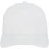 America Premium Water-Resistant Perforated Cap - Image 29