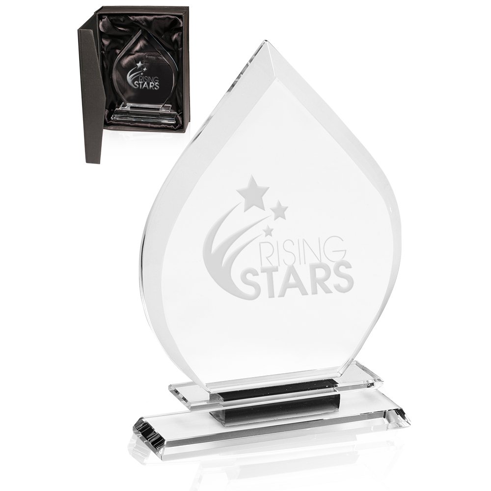 Gallery-1-251530_DMAW05-Black-cat-zoom Flame Crystal Awards - Image 1