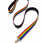 Rainbow Pet Leash w/ Metal Carabiner
