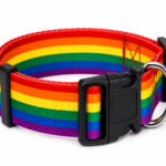 Rainbow collar