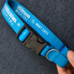 Polyester Pet Collar w/ Buckle Release