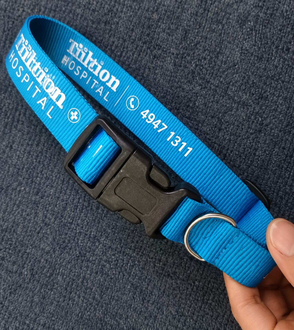 PL10 Polyester Pet Collar w/ Buckle Release - Image 1