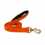 RPET Eco-friendly Sublimation Pet Leash w/ Metal Carabiner