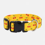 rPET Eco-friendly Sublimation Pet Collars w/ Buckle Release
