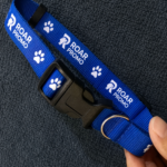 RPET Polyester Eco-friendly Pet Collar w/ Buckle Release